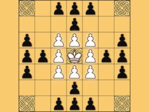Tafl: viking chess